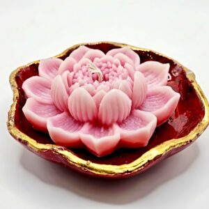 blooming lotus